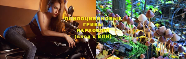 гидра Балабаново