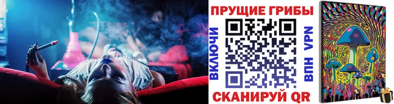 цены   Семёнов  Галлюциногенные грибы мухоморы 