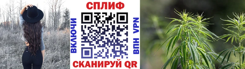 цены   Семёнов  МАРИХУАНА гибрид 